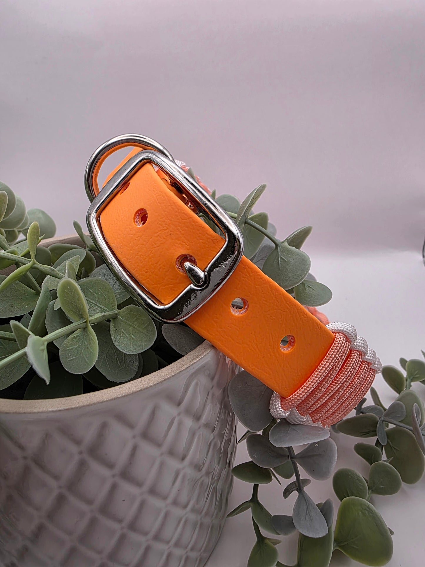 Halsband Peach 🍊