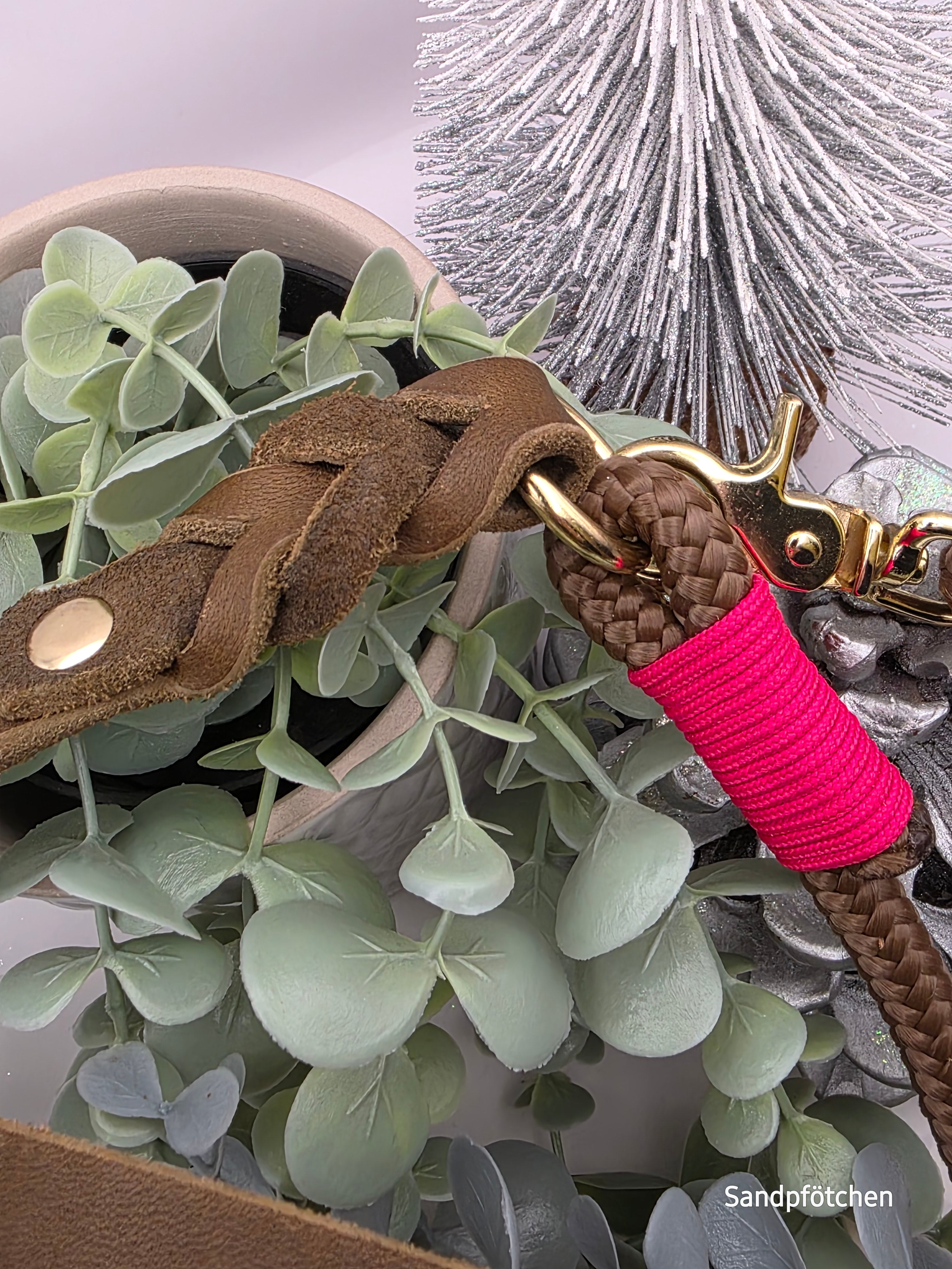 Leine aus Tau & Leder