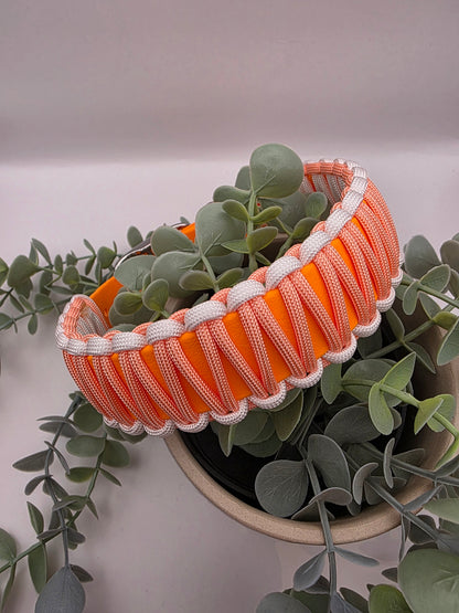 Halsband Konfigurator