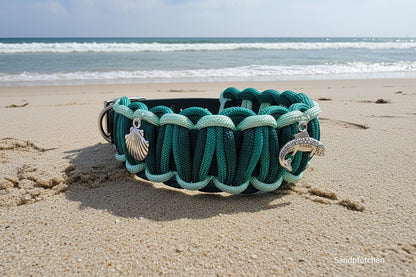 Halsband Sea 🐠⚓️