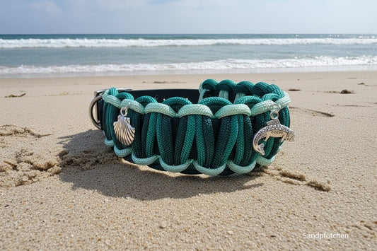 Halsband Sea 🐠⚓️