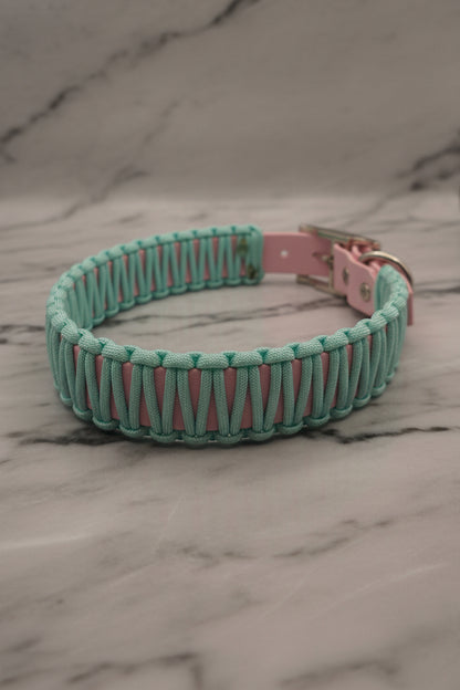 Halsband Lotta 🐾