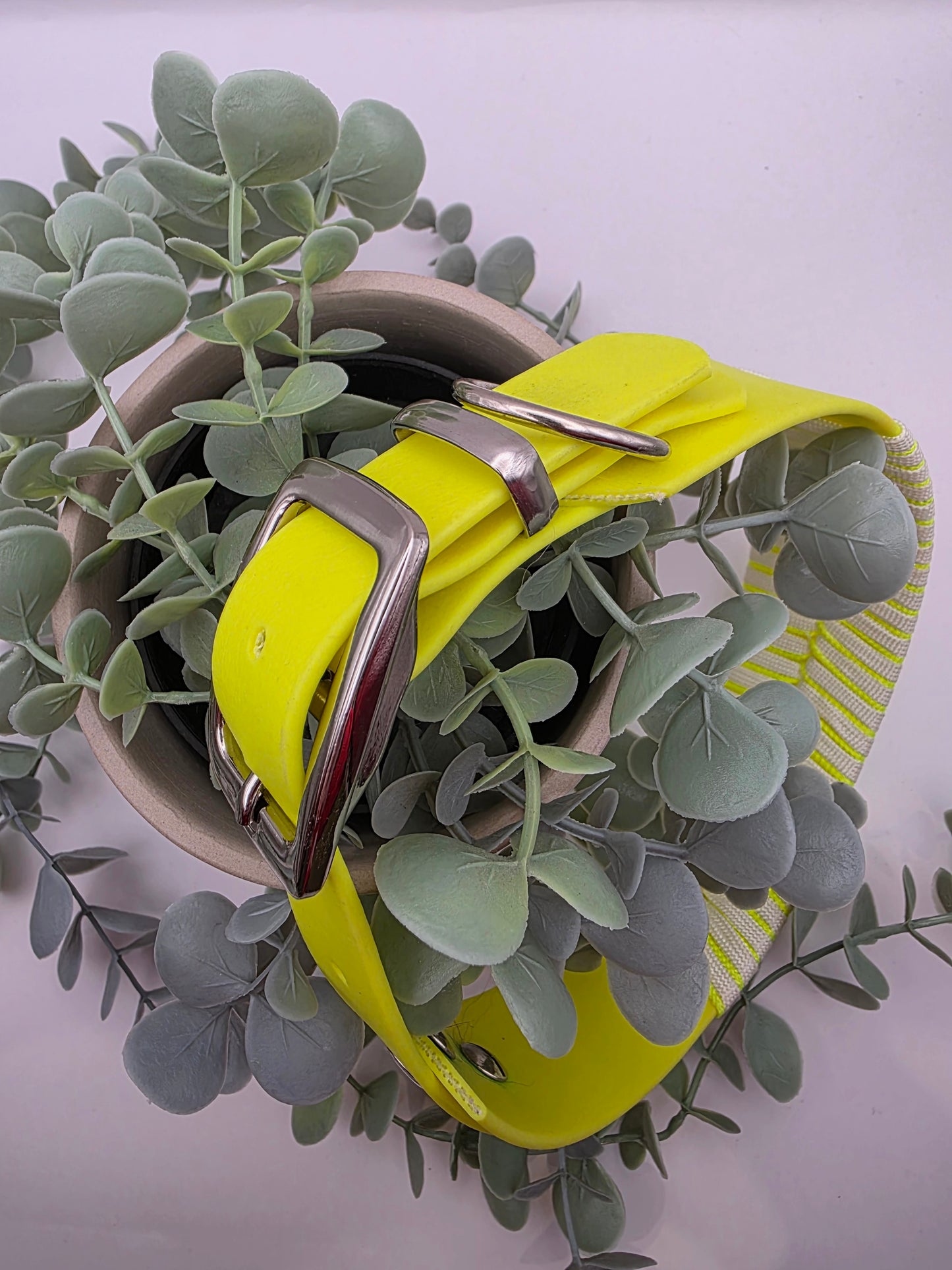 Halsband Fishbone Yellow 💛