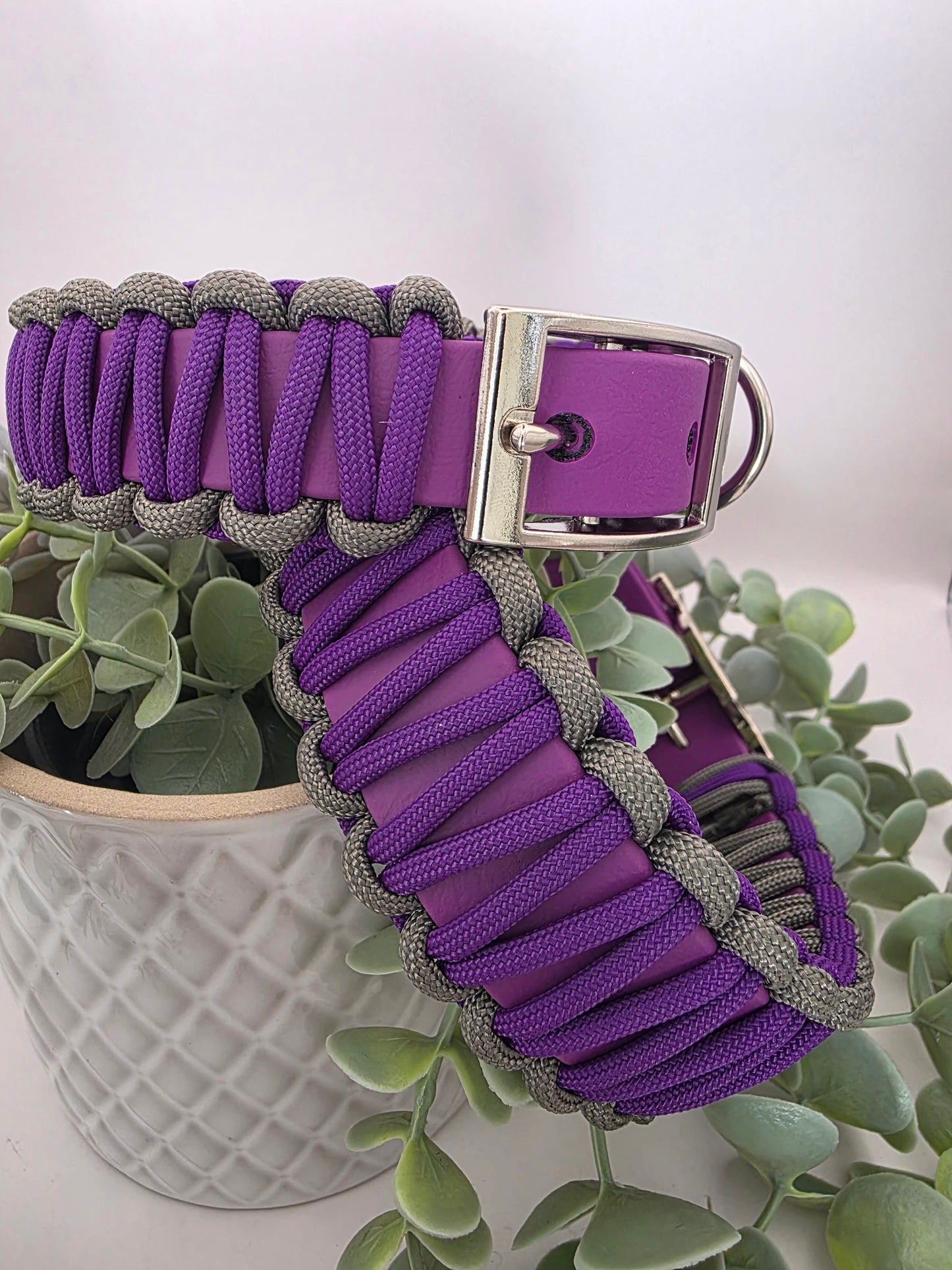 Halsband Konfigurator