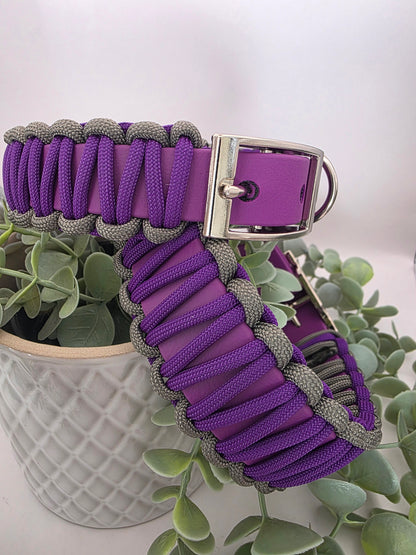 Halsband Konfigurator