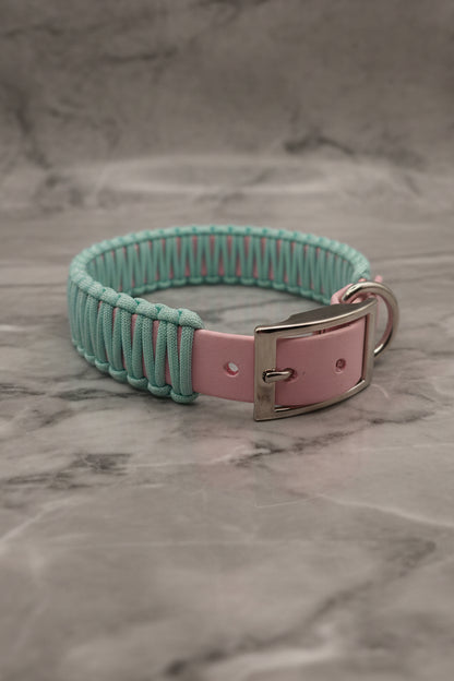 Halsband Lotta 🐾