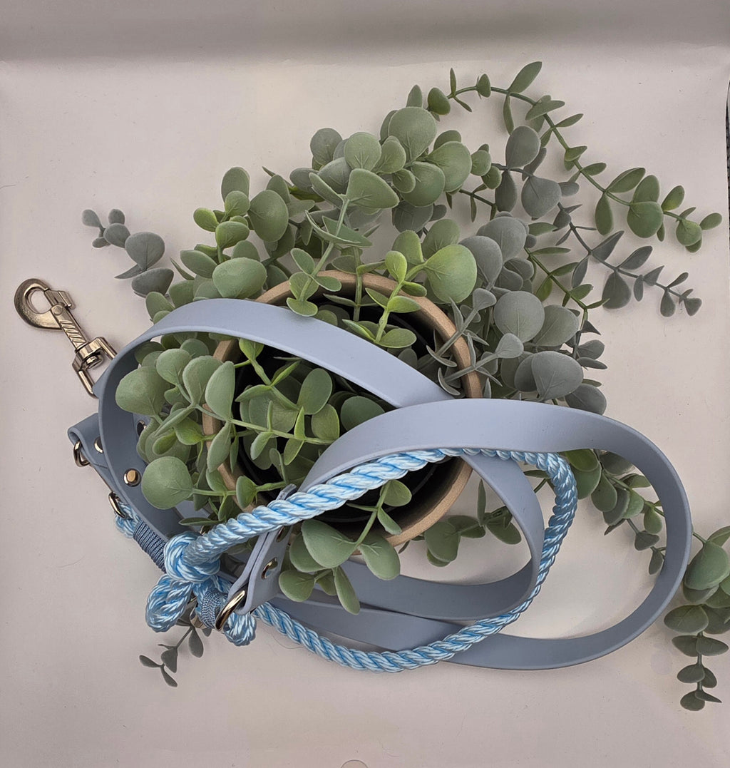 Leine aus Biothane und Tau