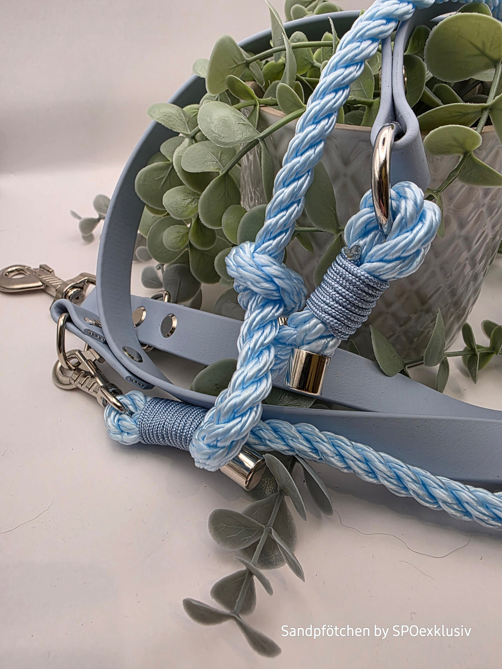 Leine aus Biothane und Tau