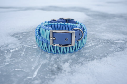 Halsband Konfigurator