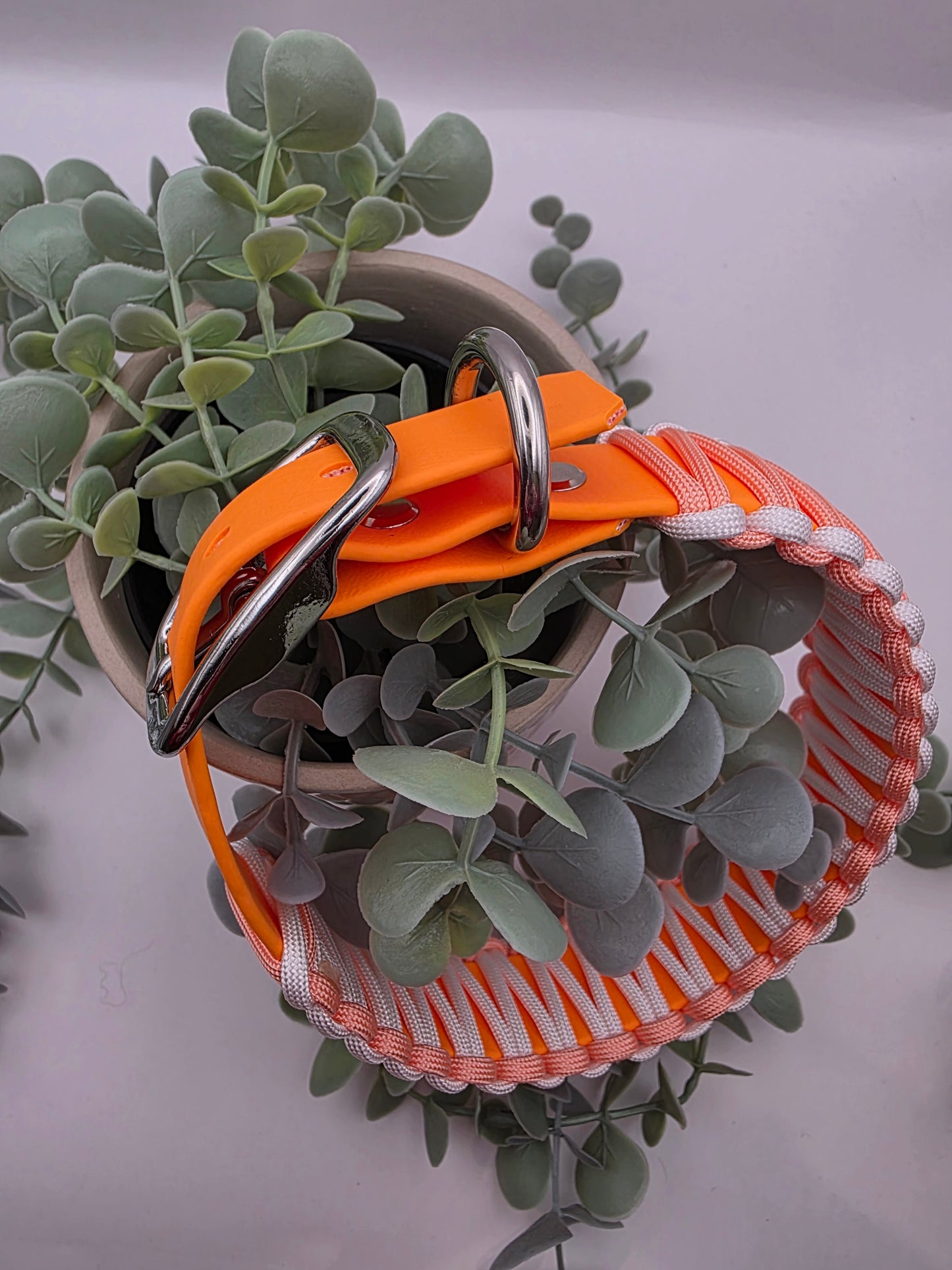Halsband Peach 🍊