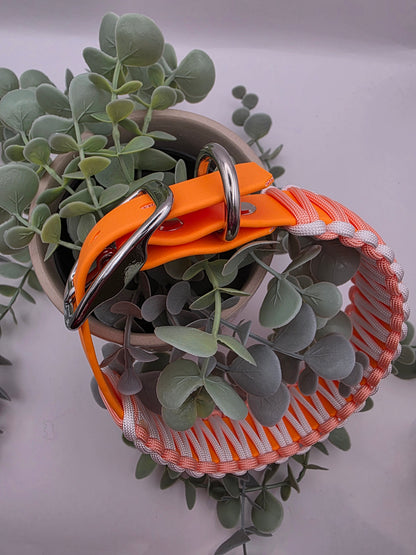 Halsband Peach 🍊