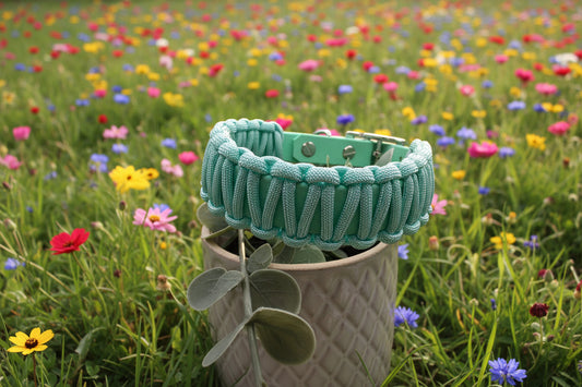 Halsband Karibik 28-36cm 19mm